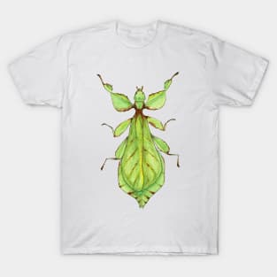 Leaf Bug Watercolor Illustration T-Shirt